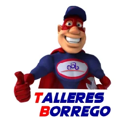 App móvil de Talleres Borrego